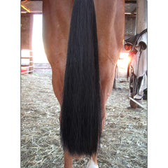 Y.J TAILS extensions: queue noire, poids 3/8 lb pour une présence équilibrée.