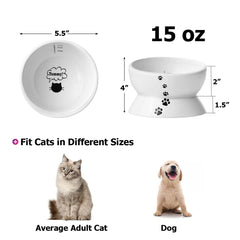 Bol Y YHY incline pour chats, réduction potentielle des déversements