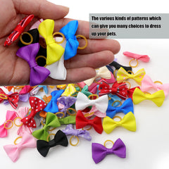 Boucles adorables YAKA pour chien et chat, faciles à fixer