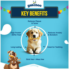 Chiens en train de mâcher longtemps avec Yakchoo.