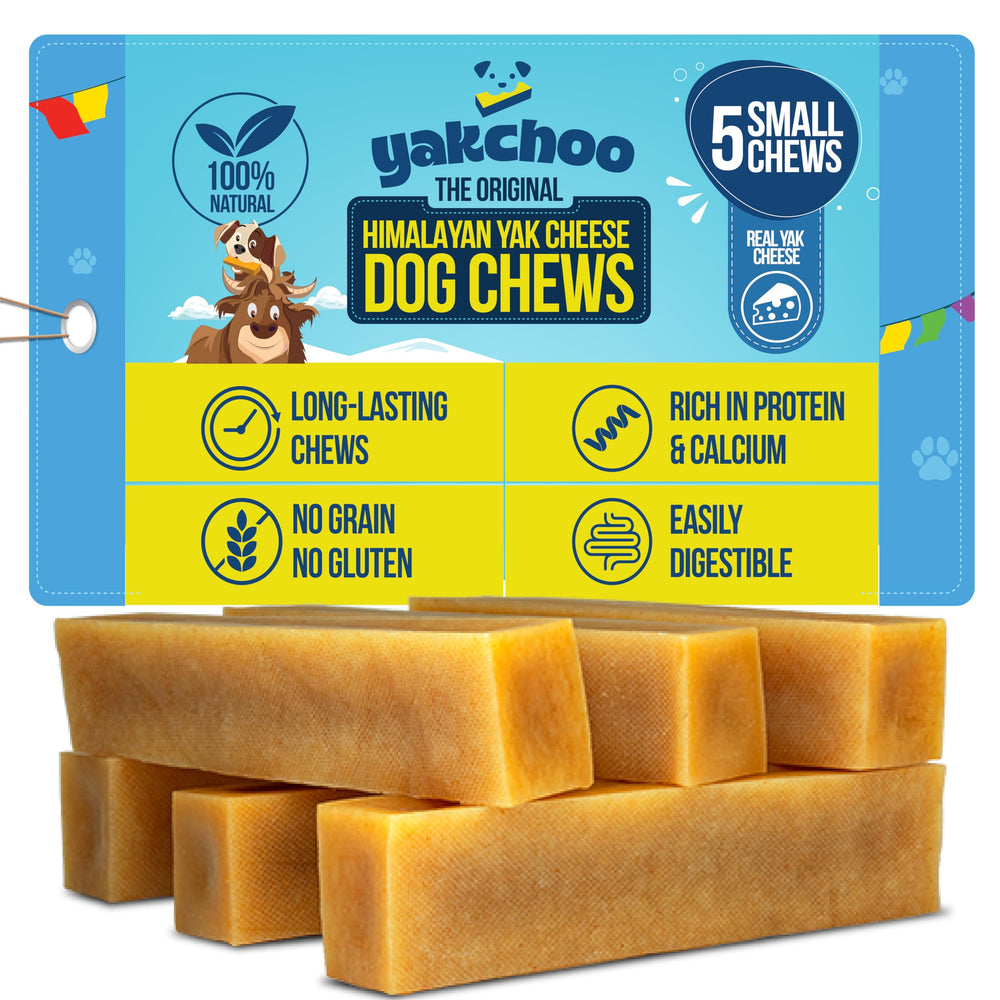 Friandises Yakchoo visibles dans l emballage Himalaya pour votre chien.