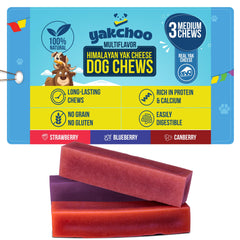 Friandises Yakchoo yak myrtille: récompense naturelle pour chien actif.