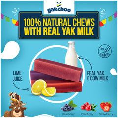 Pack Yakchoo de 3 barres 70 g: format pratique pour chiens.