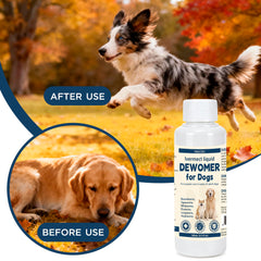 Yakucho Dewomax – utilisation quotidienne sans additifs, facile à mélanger dans nourriture ou eau.