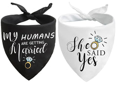 Bandana chien engagement photo Yangmics Direct – parfait pour des clichés romantiques