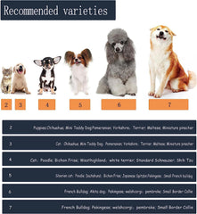 YAODHAOD bottes chien petit rose utilisation intérieure confort et protection des sols