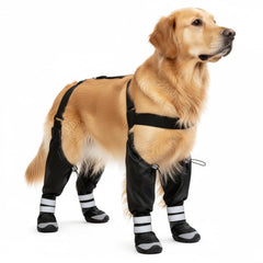 Yaquho bottes suspendues pour chien, imperméables, protection lors des balades.