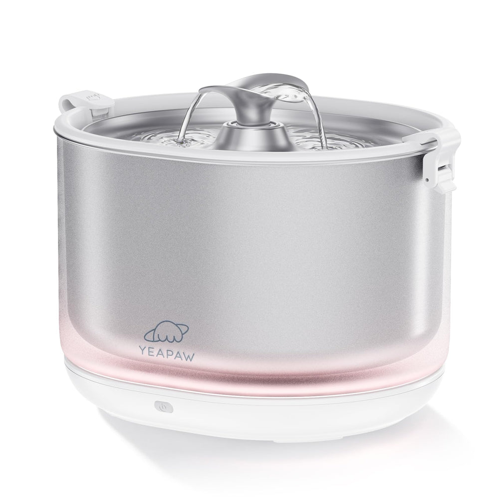 YEAPAW fontaine eau chat en acier inoxydable 304 assure hydratation sûre et durable