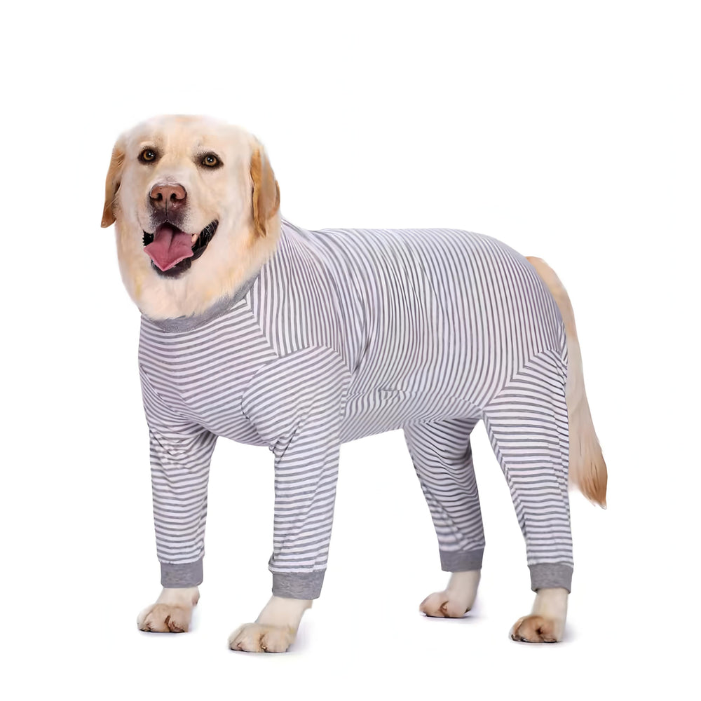 Yeapeeto: chien portant une combinaison récupération respirante, confort et liberté pour les grands chiens.