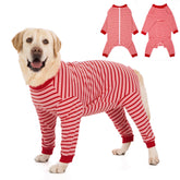Yeapeeto Combinaison Recovery pour chien: corps complet protégé et confortables