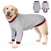 Yeapeeto veste récupération chien coudes devant offre confort et soutien pendant la convalescence