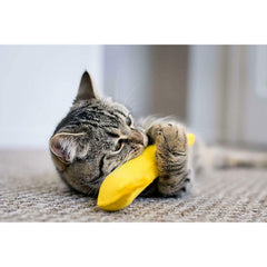 YEOWWW! Banane en cataire – chat joueur en action et stimulation ludique