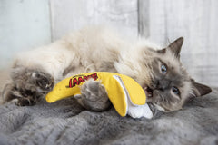Yeowww! Chi-CAT-a jouet herbes-a-chat invite à chasser et mordiller.