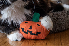 Détails intérieurs du rembourrage catnip biologique Yeowww! pour une expérience sensorielle.
