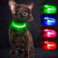 Collier LED YFbrite vert XS pour chat, sécurité lumineuse intérieure et extérieure.