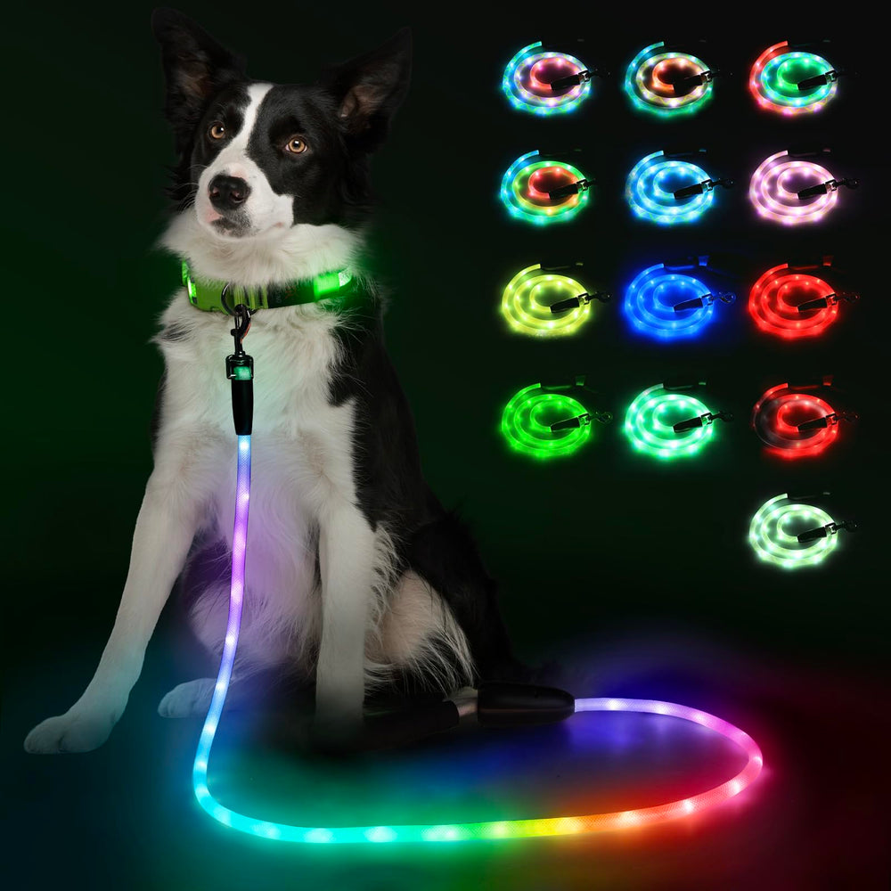 Laisse lumineuse YFbrite de 6 pieds pour une visibilité nocturne.