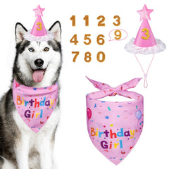 Chapeau anniversaire Yicostar pour chien, ajustable, idéal pour photos festives.