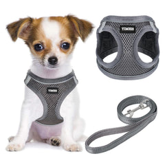 Harnais YIMEIS en mesh respirant pour chien, confort durable en promenade.