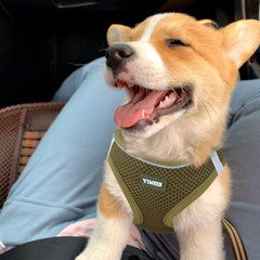 Harnais YIMEIS pour chien, maille respirante pour le confort quotidien
