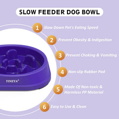 YINEYA mangeoire lente pour petit chien, aide à manger lentement et sereinement