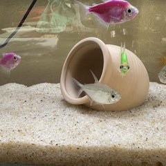 Sable beige YISZM fond naturel pour vivariums et terrariums.