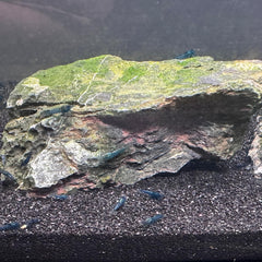 Sable d'aquarium blanc YISZM, apporte clarté et luminosité.