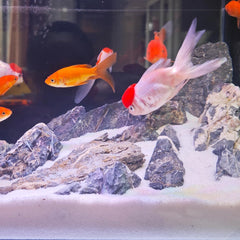 Sable d'aquarium YISZM blanc, effet naturel pour un décor aquatique.