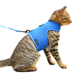 Harnais-chat YIZHI MIAOW en mesh bleu, confort optimal pour les sorties.