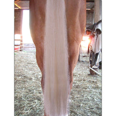 Couleur blanc pur avec des nuances crème légères.