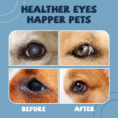 Formulation naturelle approuvée par vétérinaires pour yeux sensibles.