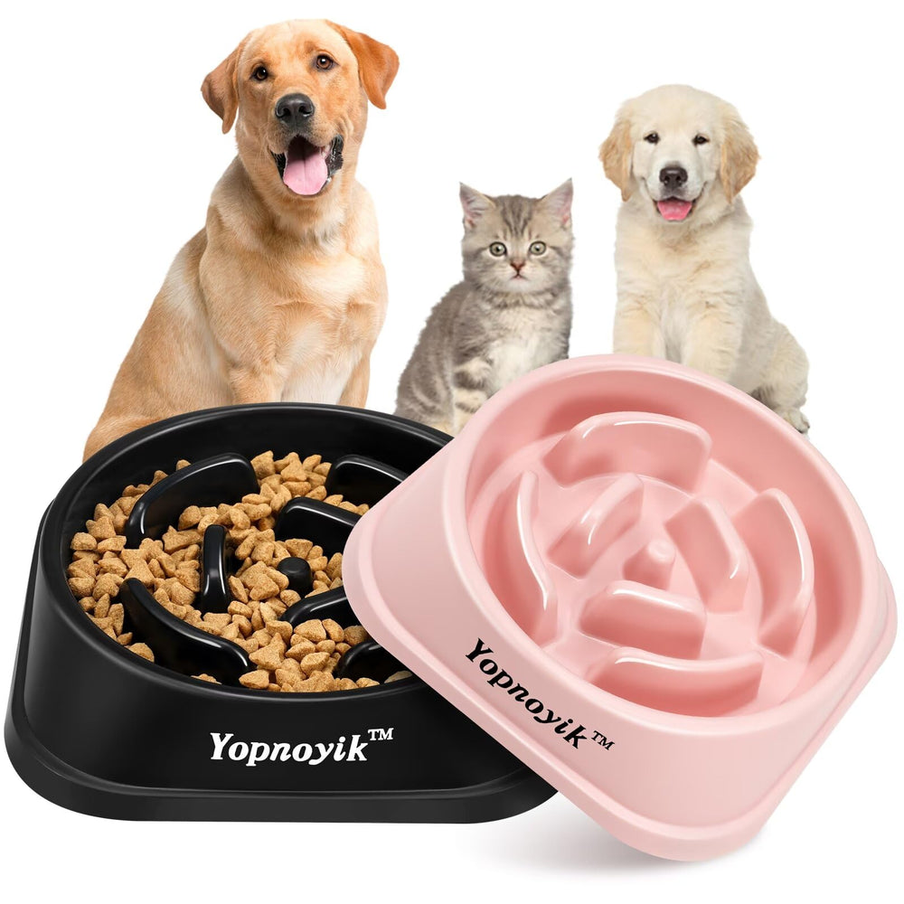 Bol Yopnoyik alimenteur lent 2-pack pour chiens et chats, ingestion plus lente.