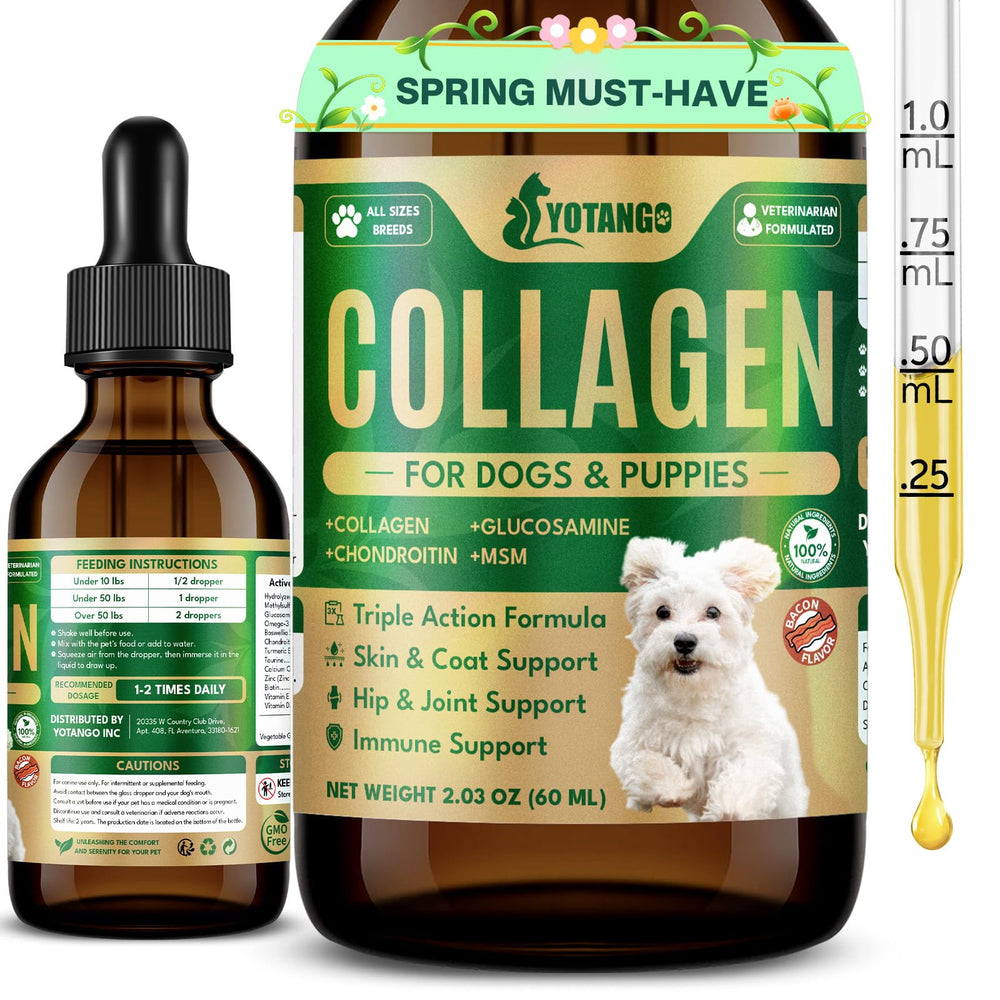 Bouteille YOTANGO collagène liquide pour chien, mise en avant du produit et du packaging.