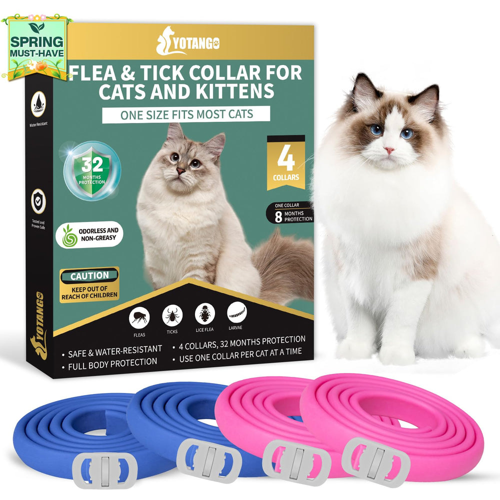 Collier YOTANGO anti-puces et tiques pour chats, protection rapide.