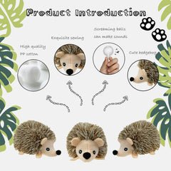 YOUBEMAGIC quatre-peluches-raton-laveur : ensemble polyvalent pour jeux prolongés.
