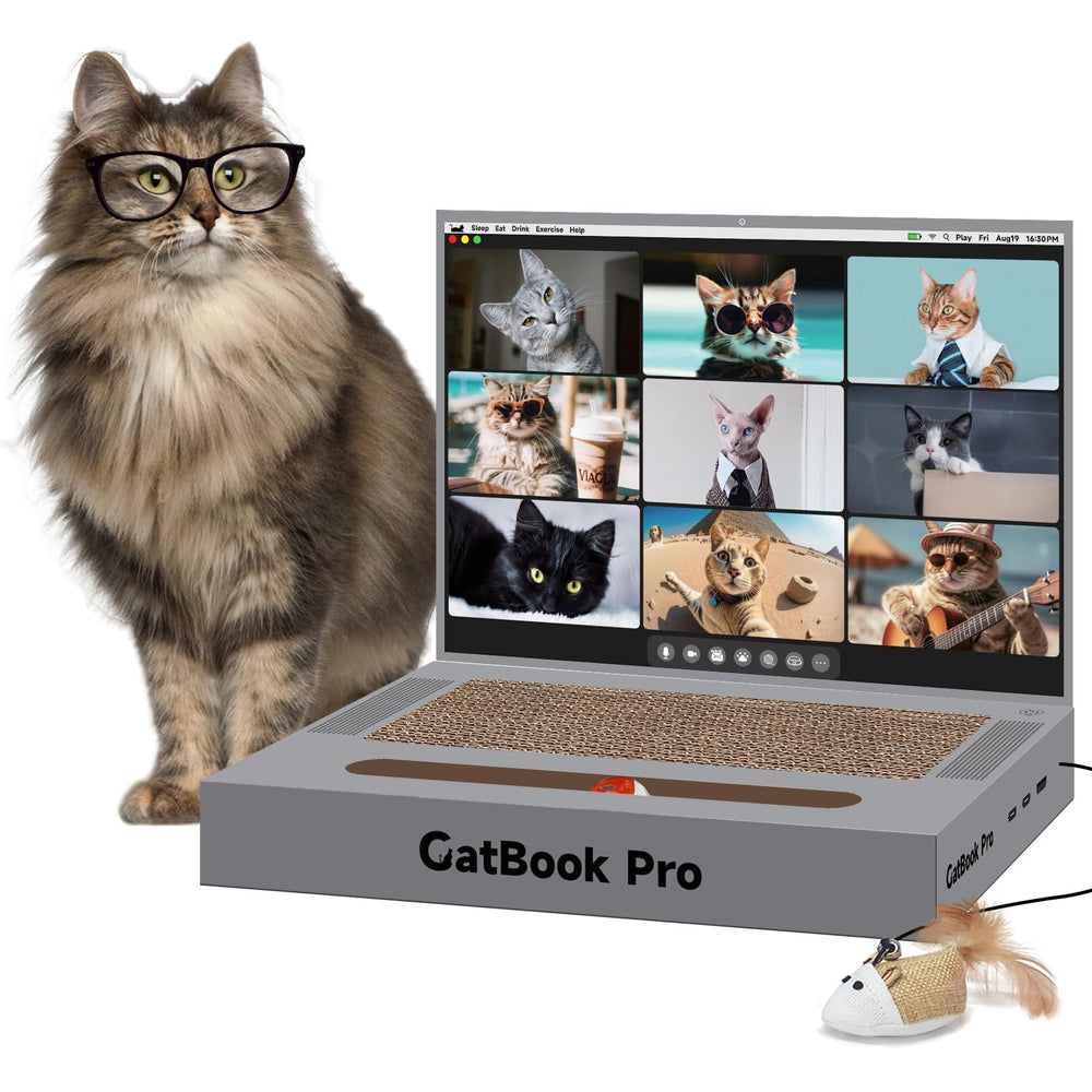YOUXIFUN ordinateur-chat-gris - griffoir ludique pour chat actif.