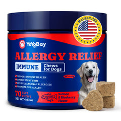 YoYoBay friandises allergie chien – bouteille pratique pour voyage et routine.