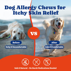 YoYoBay friandises allergie chien – saveur saumon et myrtille appréciée par le chien.