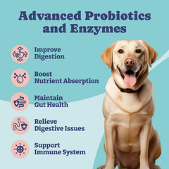 YoYoBay Probiotiques pour chien – bouchées molles visibles, pratique à donner.