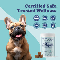 YoYoBay Probiotiques pour chien – plus d'un milliard CFU, soutien immunitaire potentiel.