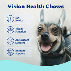 YoYoBay suppléments vision chien myrtille — soutien naturel pour les yeux du chien.
