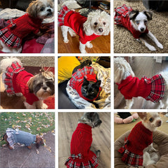 Ensemble hiver YUDODO pour petits chiens, pulls sans manches, enfilage facile.