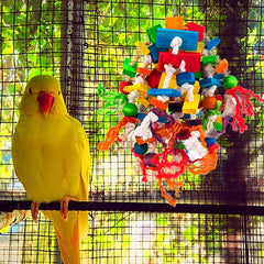 Jouet exploration YUEPET pour petits oiseaux, incite à l’exploration et à la curiosité.