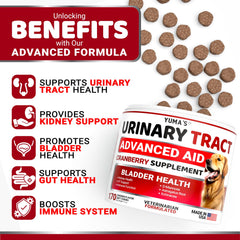 YUMA'S Bouchées UTI pour chien — friandises savoureuses facilitant l'administration quotidienne.