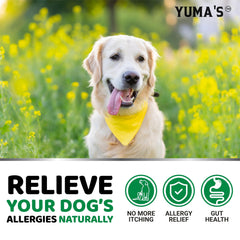 Saveur foie de boeuf YUMA'S, friandises appétentes pour chiens de tous âges.