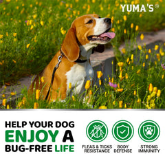 Formulation naturelle YUMA'S – adaptée à tous les chiens.
