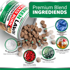 Friandises YUMA'S enzymes digestives pour le bien‑être intestinal du chien