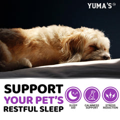 Mélatonine YUMA'S: chien calme après administration, repos possible