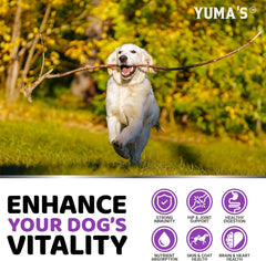 Vitamine chien tous âges, convient chiots et seniors