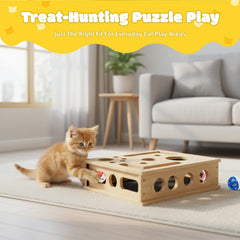 Chat explorant l espace de jeu Yumcute intégré dans la boîte.