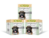 Longevity15 de Yummy Combs, bouteille avec étiquette lisible, soutien potentiel à la vitalité canine.